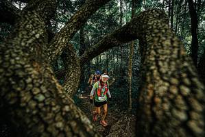 BIB: 
                            <button type="button" onclick="openModal(25672010)" class="btn btn-primary btn-sm float-right btn-popup" data-toggle="modal" data-target=".modal-high-quality">
                        <i class="fas fa-shopping-cart"></i> Add to Cart
                    </button>
                                            <button type="button" onclick="isThisMe(25672010, true)" class="btn btn-success btn-sm float-right btn-popup btn-isme hidden" data-toggle="tooltip" data-placement="bottom" title="นี่คือรูปของคุณใช่ไหม คลิกที่นี่เพื่อเอาเข้าอัลบั้ม">
                        <i class="fas fa-plus"></i> Add to album
                    </button>
                    <button type="button" onclick="isThisMe(25672010, false)" class="btn btn-warning btn-sm float-right btn-popup btn-isnotme hidden">
                        <i class="fas fa-ban"></i> Remove from album
                    </button>